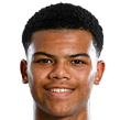 logo src=